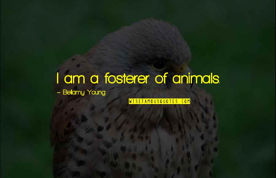 Parboiling Chicken Quotes By Bellamy Young: I am a fosterer of animals. Parboiling Chicken Quotes By Bellamy Young: I am a fosterer of animals.