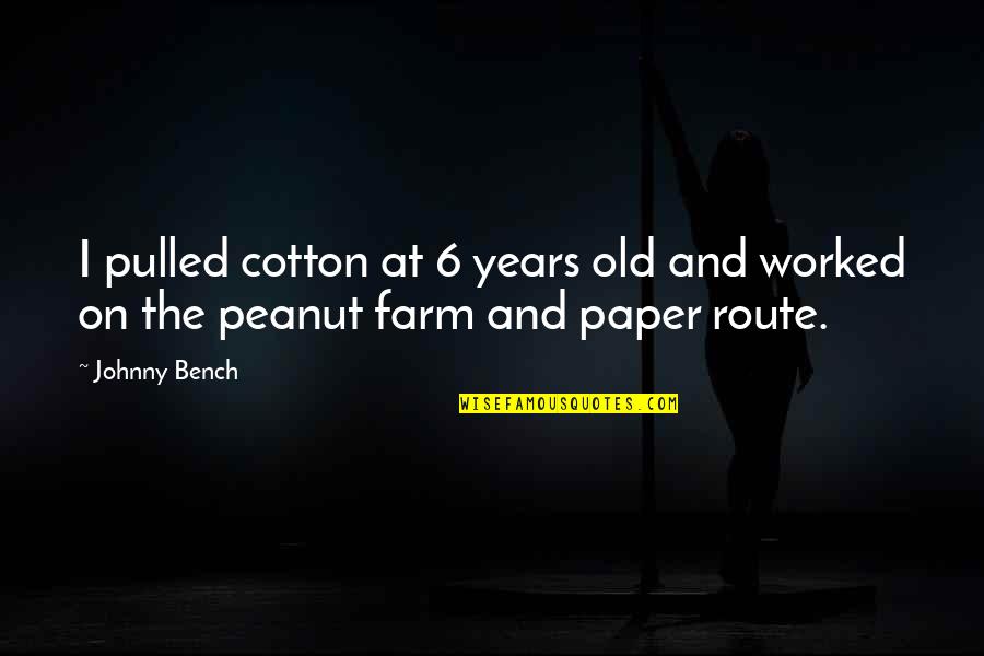 Parecer Present Quotes By Johnny Bench: I pulled cotton at 6 years old and