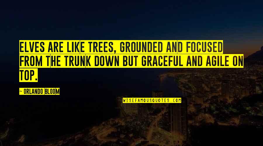 Pareils Sprinkles Quotes By Orlando Bloom: Elves are like trees, grounded and focused from Pareils Sprinkles Quotes By Orlando Bloom: Elves are like trees, grounded and focused from
