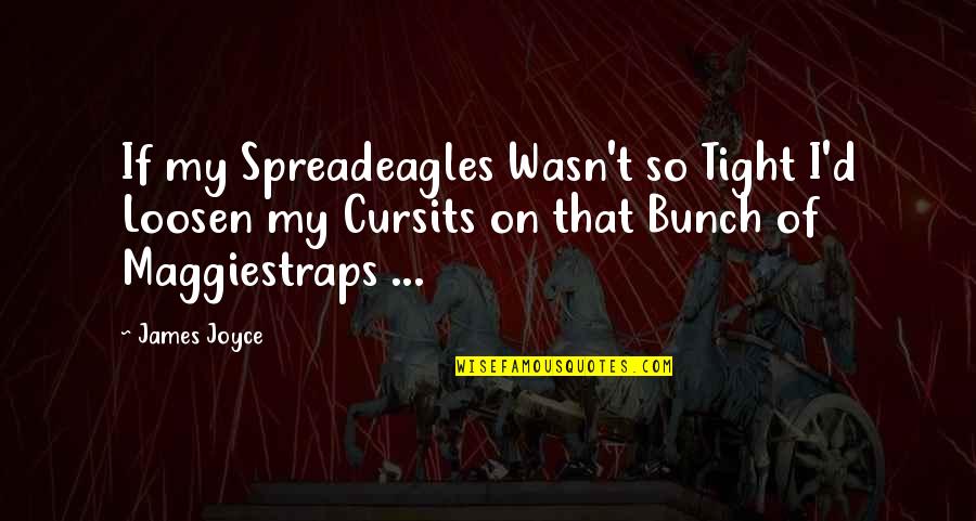 Parenting Breaks Quotes By James Joyce: If my Spreadeagles Wasn't so Tight I'd Loosen