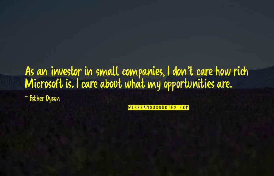 Parents Being Role Models Quotes By Esther Dyson: As an investor in small companies, I don't