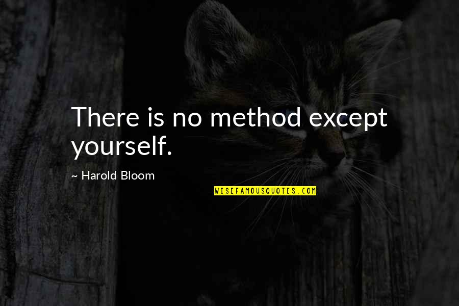 Parents Not Approving Quotes By Harold Bloom: There is no method except yourself.