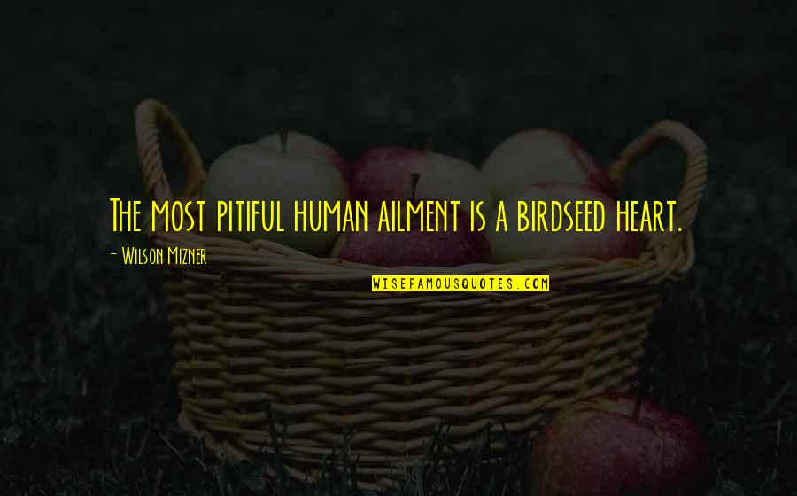 Parents Who Died Quotes By Wilson Mizner: The most pitiful human ailment is a birdseed