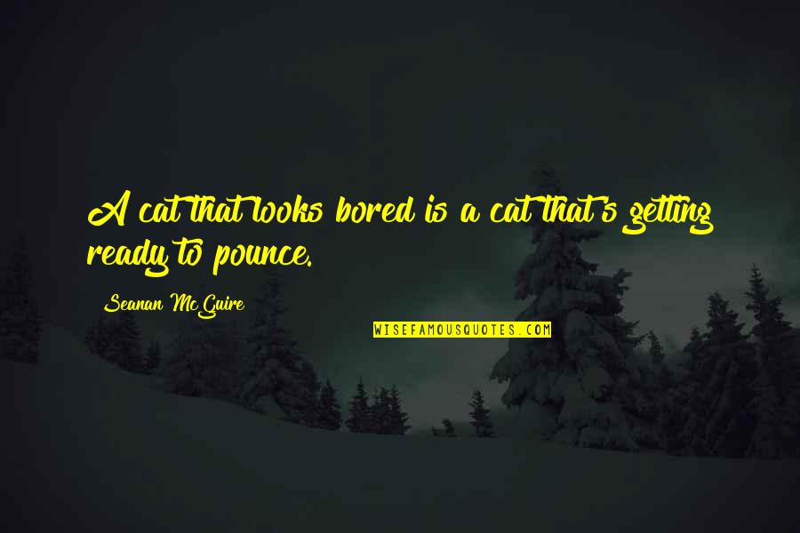 Parezca O Quotes By Seanan McGuire: A cat that looks bored is a cat Parezca O Quotes By Seanan McGuire: A cat that looks bored is a cat