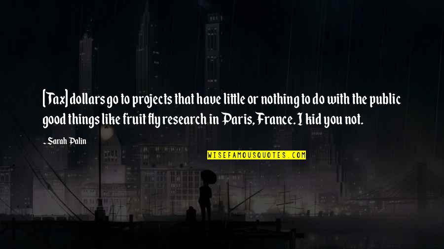 Paris You Quotes By Sarah Palin: [Tax] dollars go to projects that have little