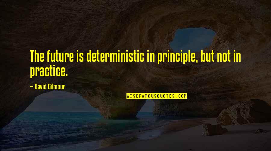 Parish Youth Ministry Quotes By David Gilmour: The future is deterministic in principle, but not