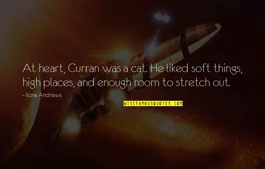 Parishioners In Spanish Quotes By Ilona Andrews: At heart, Curran was a cat. He liked