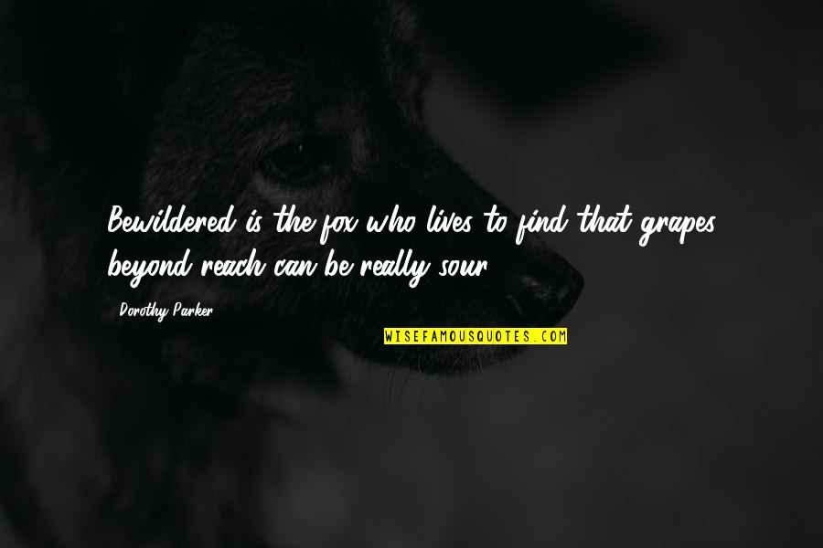 Parker Dorothy Quotes By Dorothy Parker: Bewildered is the fox who lives to find