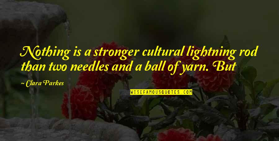Parkes Quotes By Clara Parkes: Nothing is a stronger cultural lightning rod than