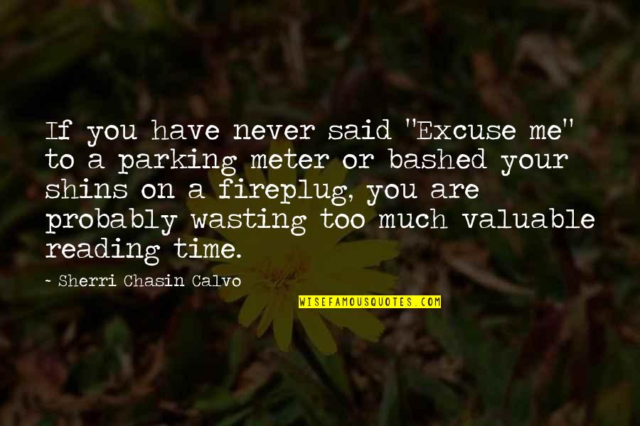 Parking Meter Quotes By Sherri Chasin Calvo: If you have never said "Excuse me" to Parking Meter Quotes By Sherri Chasin Calvo: If you have never said "Excuse me" to