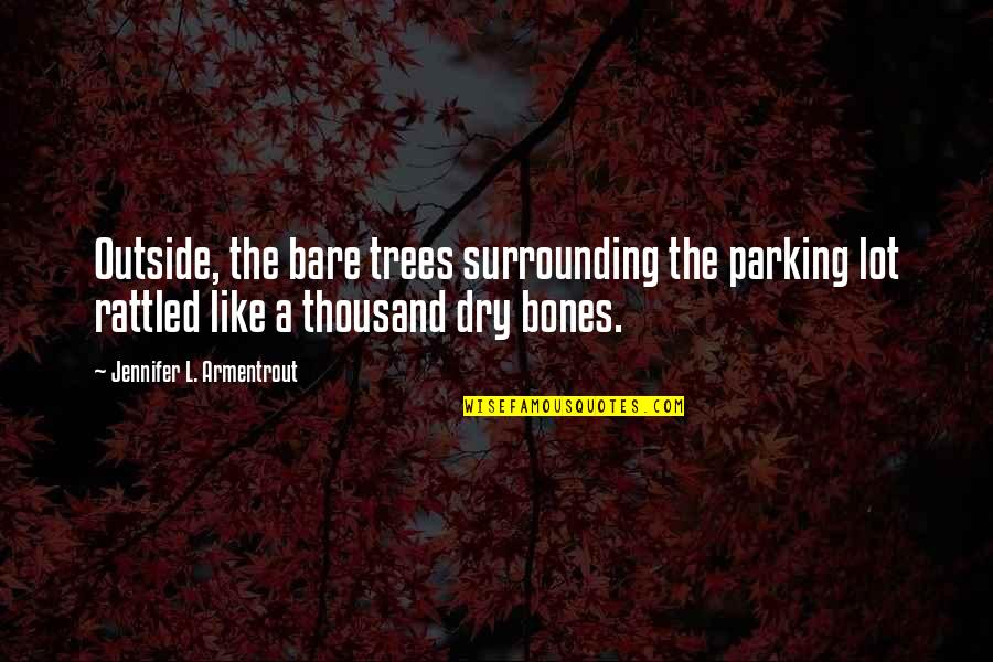 Parking Quotes By Jennifer L. Armentrout: Outside, the bare trees surrounding the parking lot