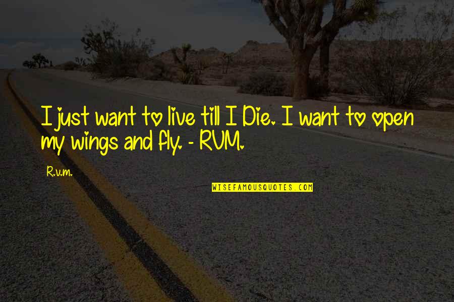 Parlayan Yildiz Quotes By R.v.m.: I just want to live till I Die.