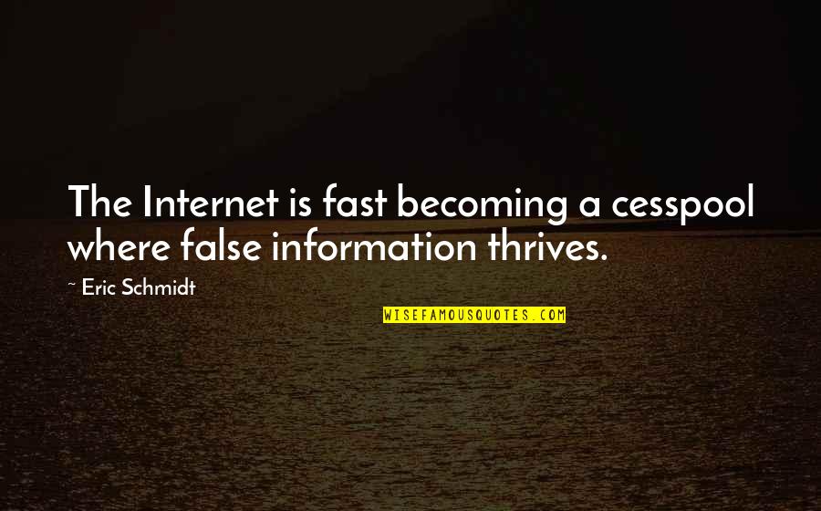 Parminder's Quotes By Eric Schmidt: The Internet is fast becoming a cesspool where