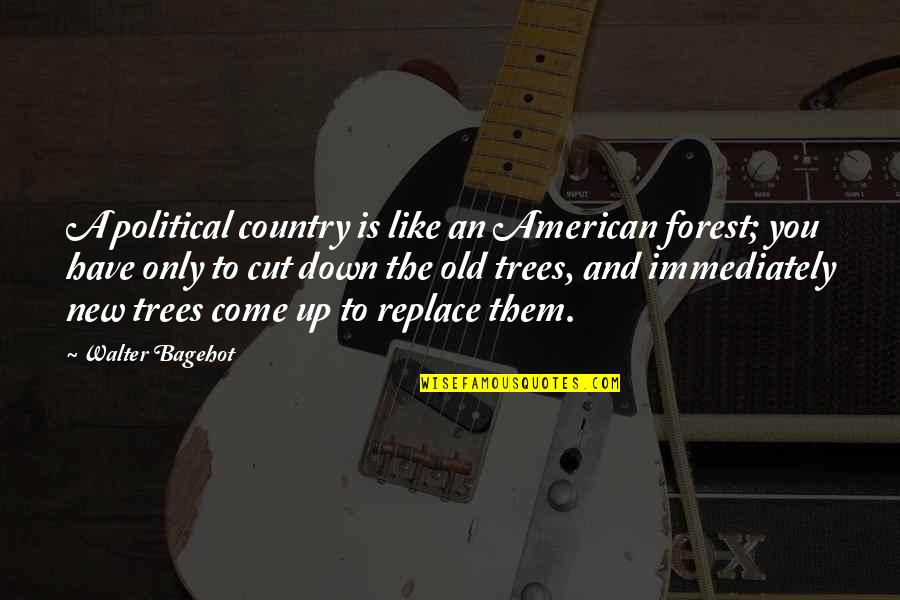 Parnells Campgrounds Quotes By Walter Bagehot: A political country is like an American forest; Parnells Campgrounds Quotes By Walter Bagehot: A political country is like an American forest;