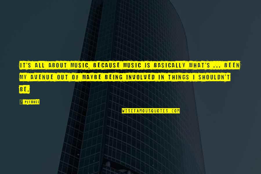 Parodie Harry Quotes By Pitbull: It's all about music, because music is basically