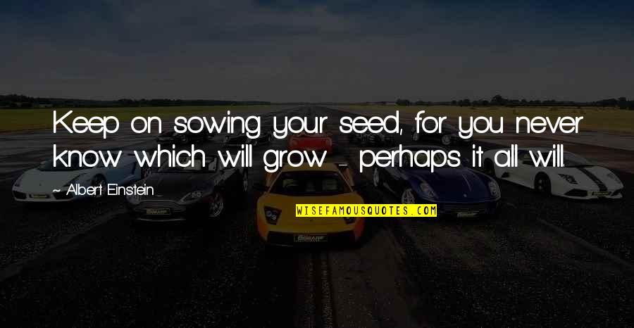 Parramon Studios Quotes By Albert Einstein: Keep on sowing your seed, for you never Parramon Studios Quotes By Albert Einstein: Keep on sowing your seed, for you never