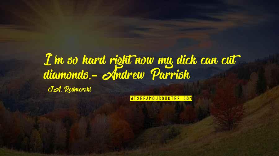 Parrish Quotes By J.A. Redmerski: I'm so hard right now my dick can
