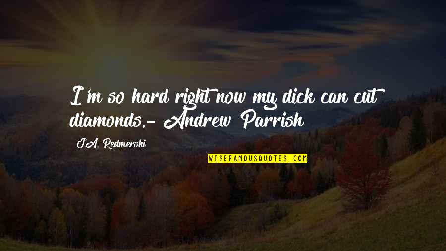 Parrish's Quotes By J.A. Redmerski: I'm so hard right now my dick can