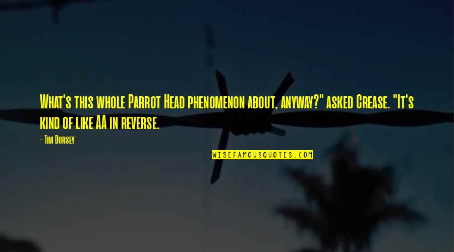 Parrot Head Quotes By Tim Dorsey: What's this whole Parrot Head phenomenon about, anyway?"
