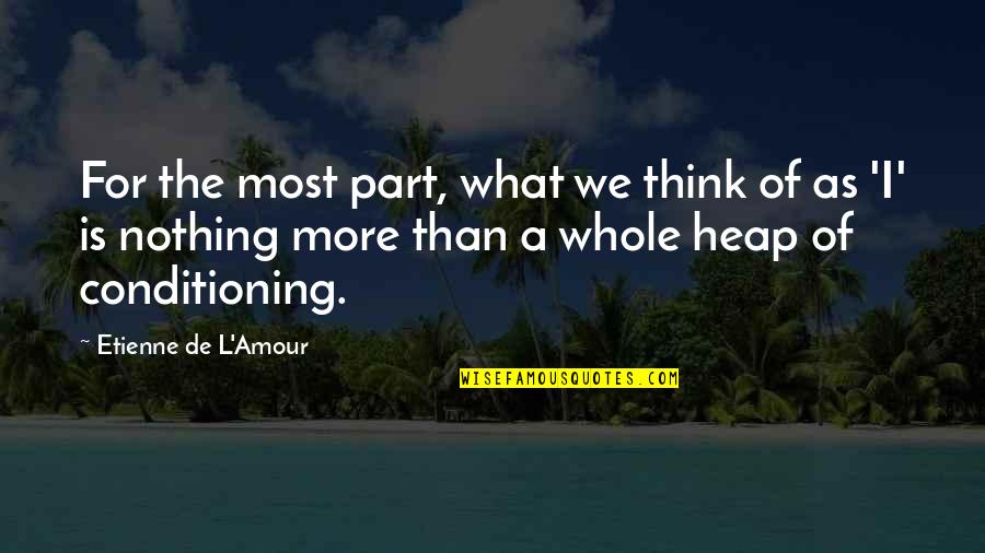 Part Of A Whole Quotes By Etienne De L'Amour: For the most part, what we think of