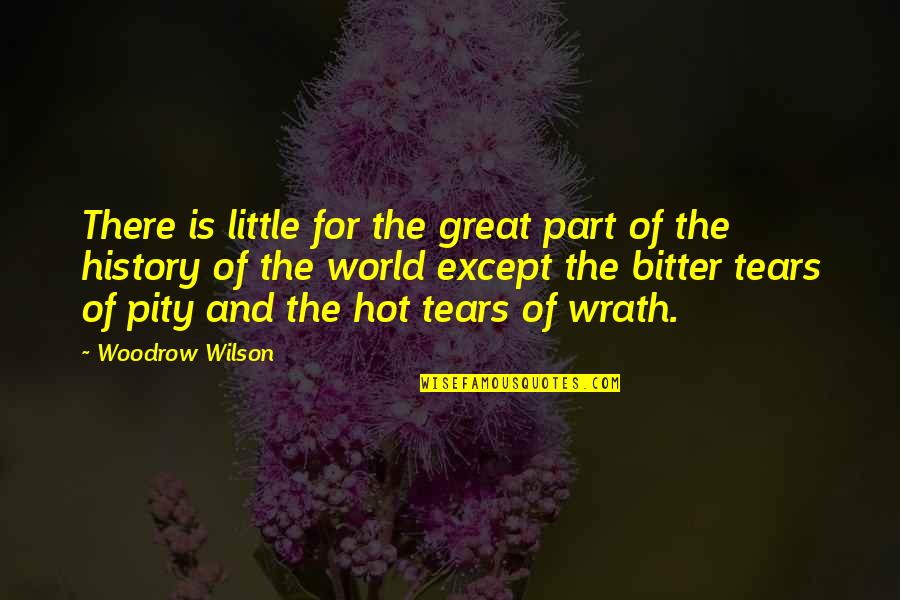 Part Of History Quotes By Woodrow Wilson: There is little for the great part of