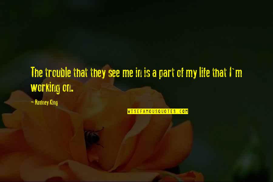 Part Of My Life Quotes By Rodney King: The trouble that they see me in is