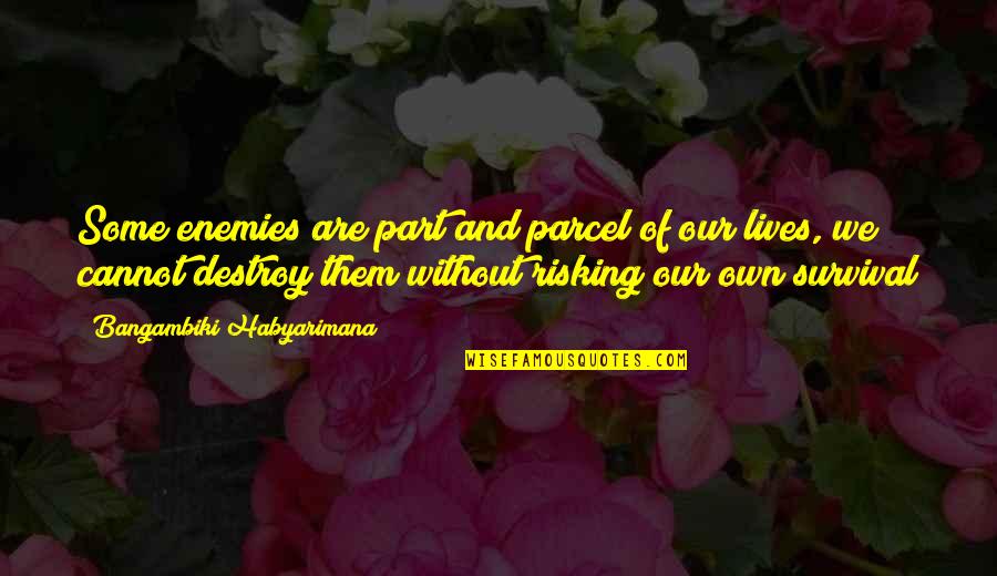 Part Of Our Lives Quotes By Bangambiki Habyarimana: Some enemies are part and parcel of our