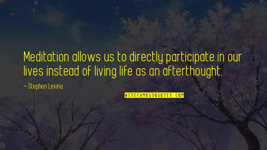 Participate In Life Quotes By Stephen Levine: Meditation allows us to directly participate in our