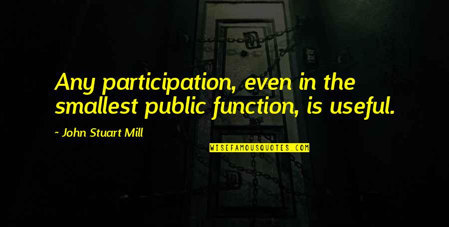 Participation In Government Quotes By John Stuart Mill: Any participation, even in the smallest public function,