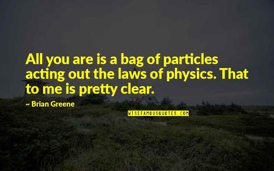 Particles Quotes By Brian Greene: All you are is a bag of particles