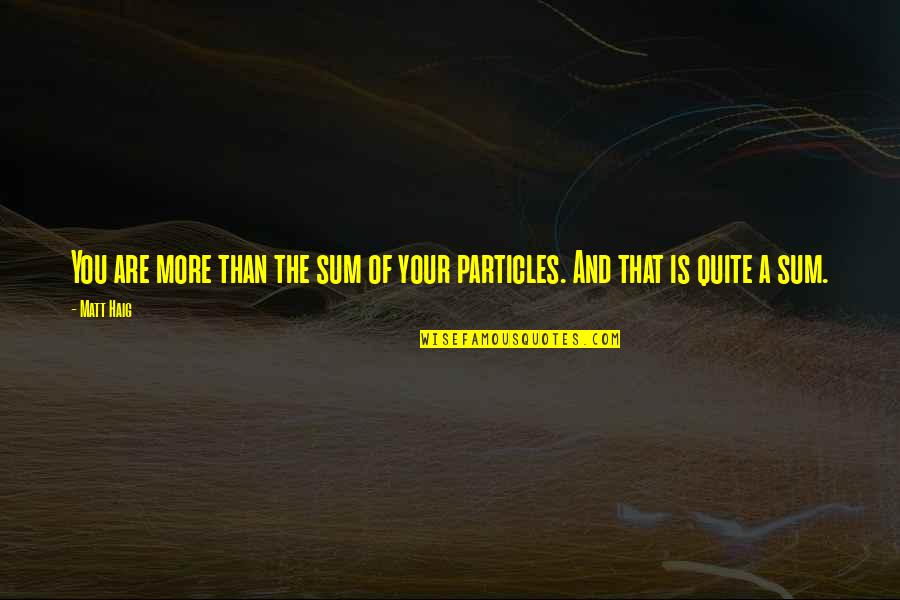 Particles Quotes By Matt Haig: You are more than the sum of your