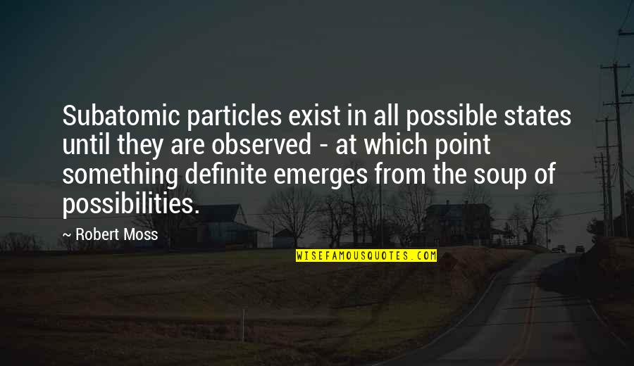 Particles Quotes By Robert Moss: Subatomic particles exist in all possible states until