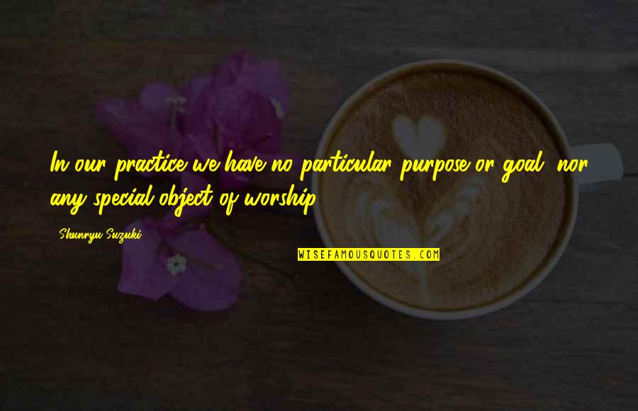 Particular Purpose Quotes By Shunryu Suzuki: In our practice we have no particular purpose