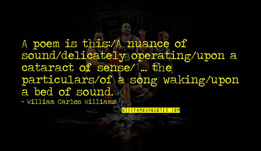 Particulars Quotes By William Carlos Williams: A poem is this:/A nuance of sound/delicately operating/upon