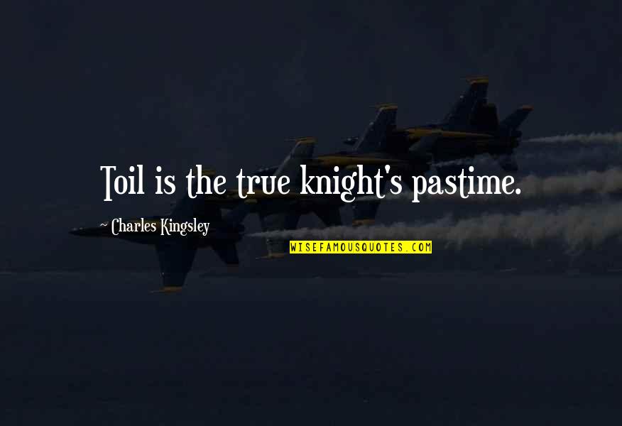 Parting Ways With Friends Quotes By Charles Kingsley: Toil is the true knight's pastime.