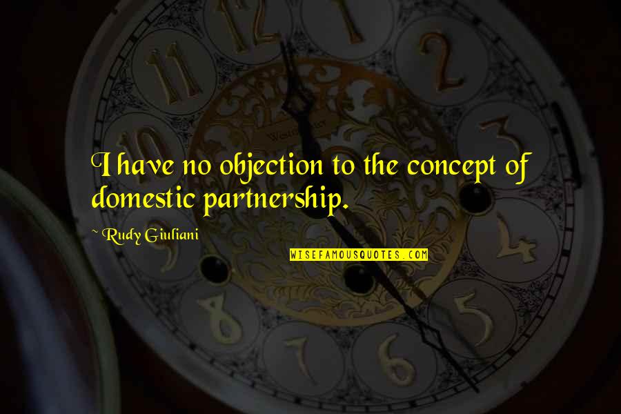 Partnership Quotes By Rudy Giuliani: I have no objection to the concept of