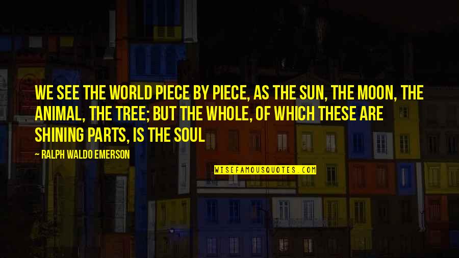 Parts And Whole Quotes By Ralph Waldo Emerson: We see the world piece by piece, as