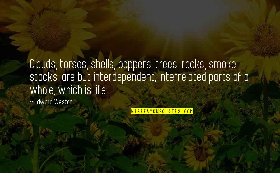 Parts Of Life Quotes By Edward Weston: Clouds, torsos, shells, peppers, trees, rocks, smoke stacks,