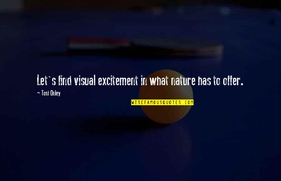 Partying And Living Life Quotes By Toni Onley: Let's find visual excitement in what nature has