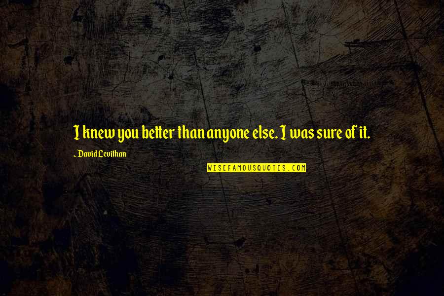 Parvos Warframe Quotes By David Levithan: I knew you better than anyone else. I Parvos Warframe Quotes By David Levithan: I knew you better than anyone else. I