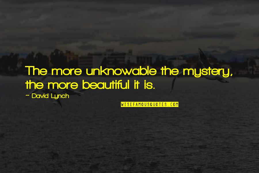 Parziale Pizza Quotes By David Lynch: The more unknowable the mystery, the more beautiful