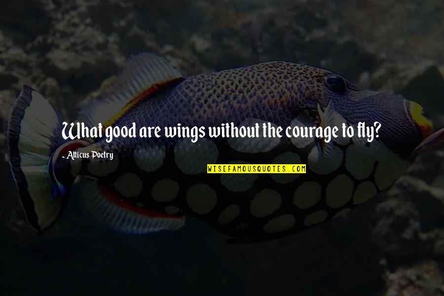 Parzival Wolfram Quotes By Atticus Poetry: What good are wings without the courage to Parzival Wolfram Quotes By Atticus Poetry: What good are wings without the courage to
