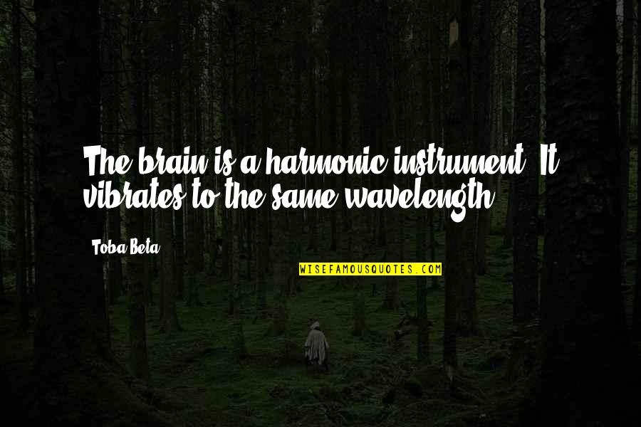 Pasajes De La Quotes By Toba Beta: The brain is a harmonic instrument. It vibrates