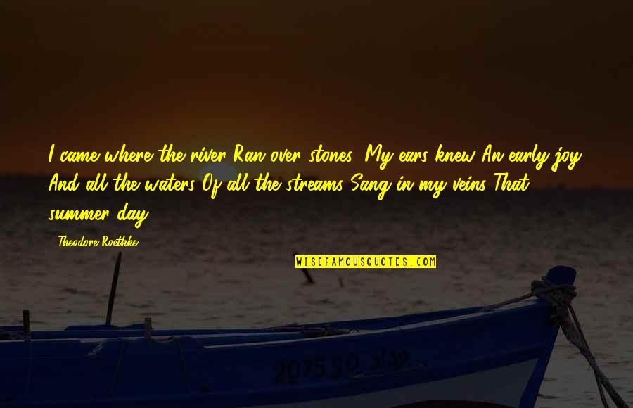 Pasar Conjugation Quotes By Theodore Roethke: I came where the river Ran over stones;