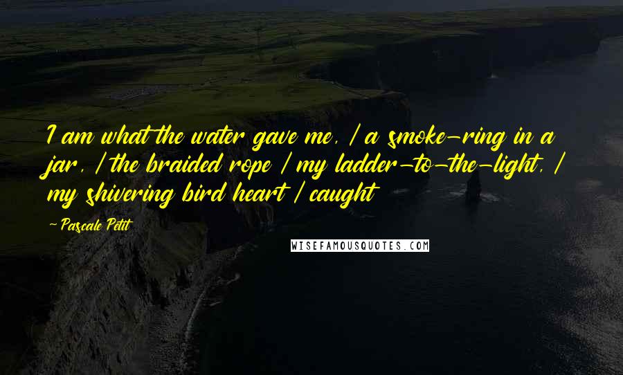 Pascale Petit quotes: I am what the water gave me, / a smoke-ring in a jar, / the braided rope / my ladder-to-the-light, / my shivering bird heart / caught