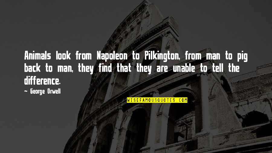 Paschendale Quotes By George Orwell: Animals look from Napoleon to Pilkington, from man Paschendale Quotes By George Orwell: Animals look from Napoleon to Pilkington, from man