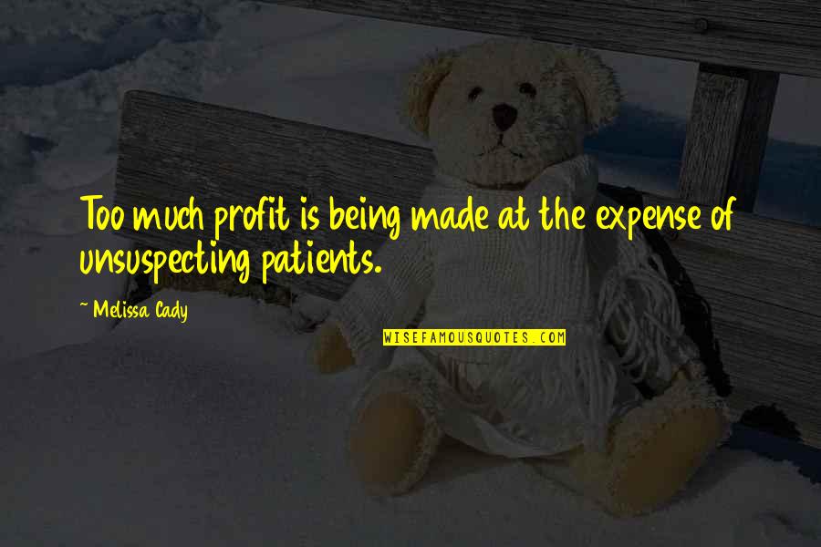 Pasinerva Quotes By Melissa Cady: Too much profit is being made at the