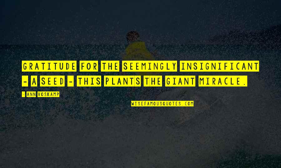 Pasiphae Percy Quotes By Ann Voskamp: Gratitude for the seemingly insignificant - a seed