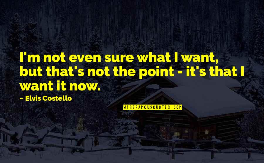 Paso Quotes By Elvis Costello: I'm not even sure what I want, but