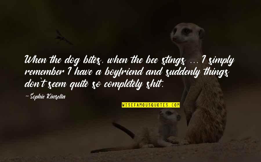 Pasolobino Quotes By Sophie Kinsella: When the dog bites, when the bee stings